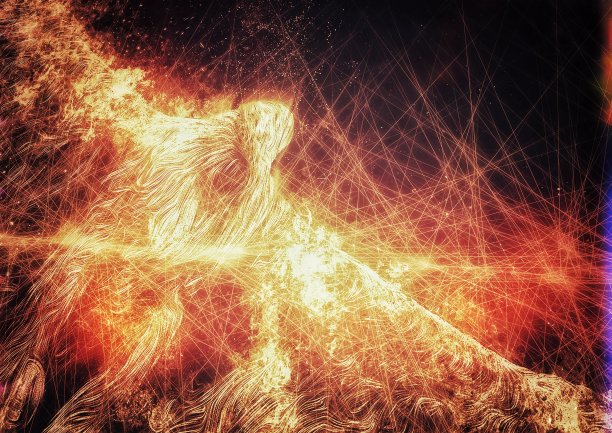 扑打着的火鸟的插图图片下载