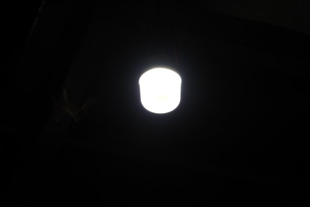 一群飞蛾围绕着灯笼盘旋，昆虫在夜晚飞向灯光图片下载