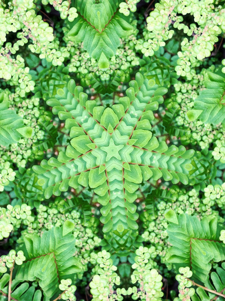 万花筒般的油画叶背景图片下载