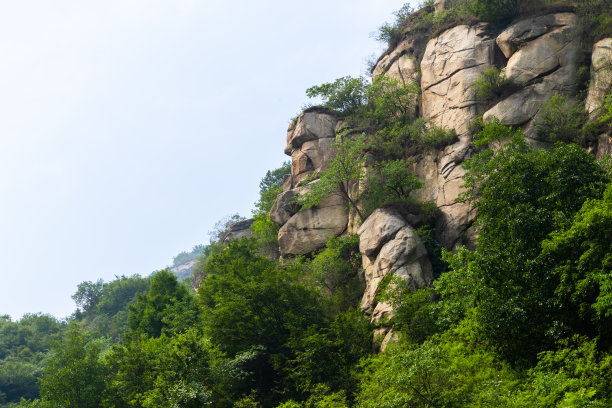 原始森林、自然风光、山谷、丛林、岩石、溪流、林荫小道图片下载