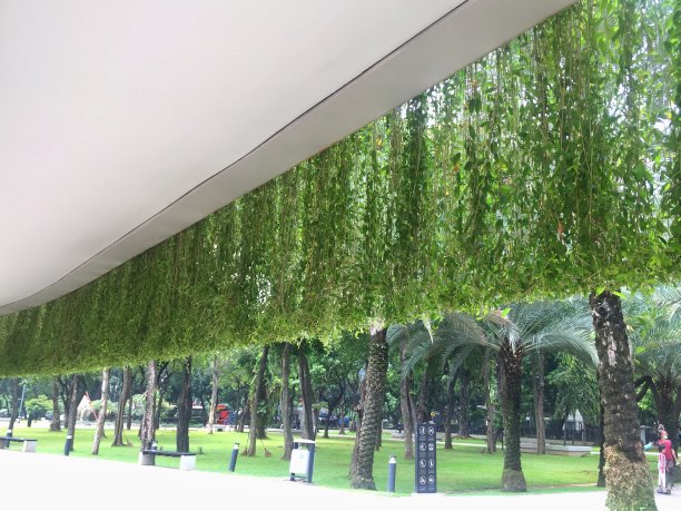 悬挂植物生长和布置在建筑的屋顶上。图片下载