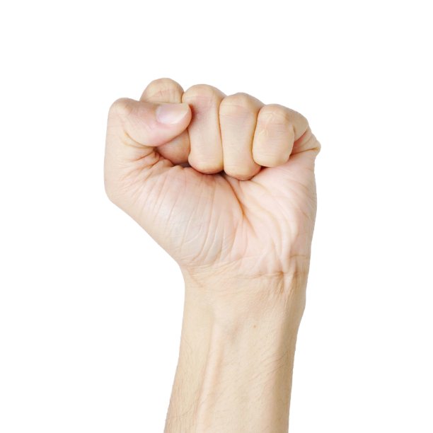 手隔离在白色背景图片下载