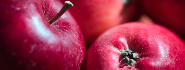 红色成熟多汁的苹果详细近全帧观赏水果网横幅背景图片下载