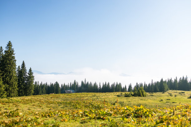 令人惊叹的喀尔巴阡山脉景观背景横幅全景与山，云和森林。风景优美的户外旅游背景图片下载