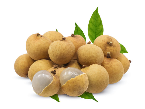 龙眼与叶孤立在白色背景图片下载