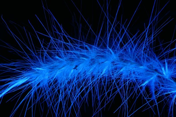 忧郁的生活图片下载