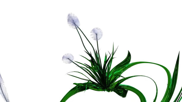 蒲公英种子植物3D渲染图片下载