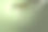 彩色图像的白色葡萄酒飞溅孤立的绿色背景图片下载