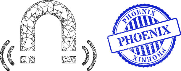 纹理凤凰邮票印章和网磁场图片下载