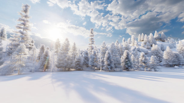 下雪的景色图片下载