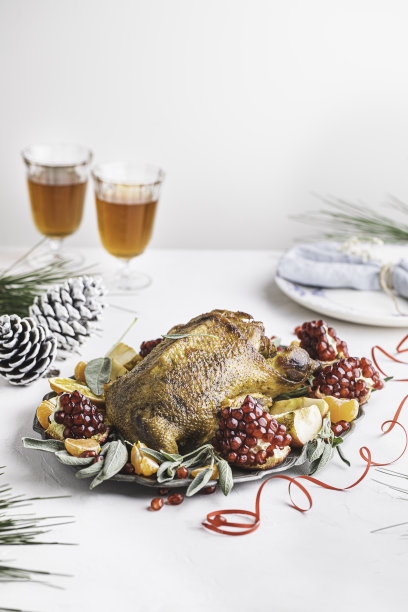 Orange-stuffed圣诞鸭图片下载