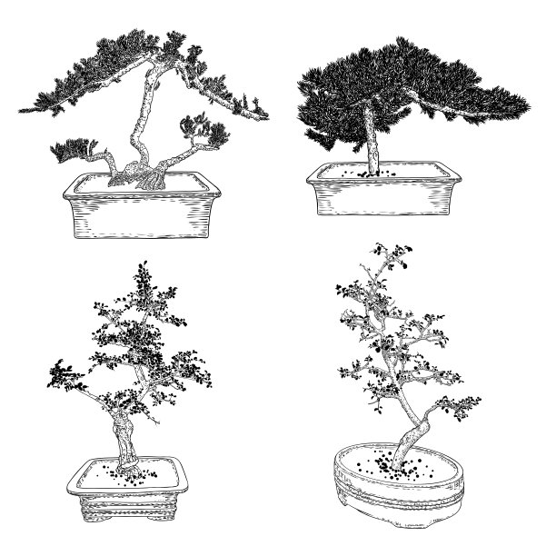 套盆景日本树生长在花盆。线条艺术的迷你树植物与树枝和分枝插图。向量。图片下载