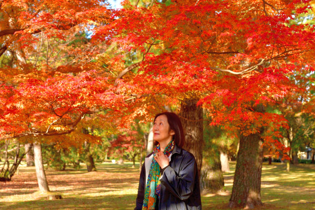 在京都享受美丽秋叶色的日本妇女图片下载