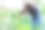 一位妇女在后院的花坛里用软管浇花。图片下载