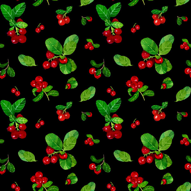 水彩无缝图案的蔓越莓枝在黑色的背景图片下载