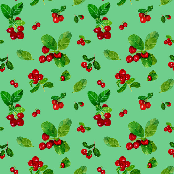 水彩无缝图案的蔓越莓枝在绿色的背景图片下载