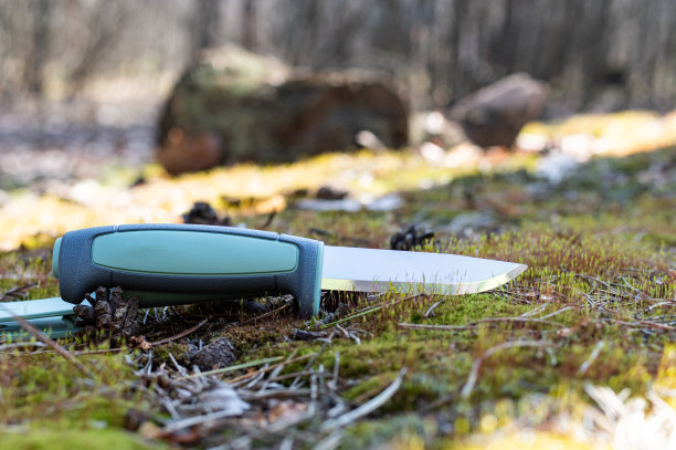 旅游刀躺在苔藓上。森林里阳光明媚的一天。固定刀片刀。图片下载
