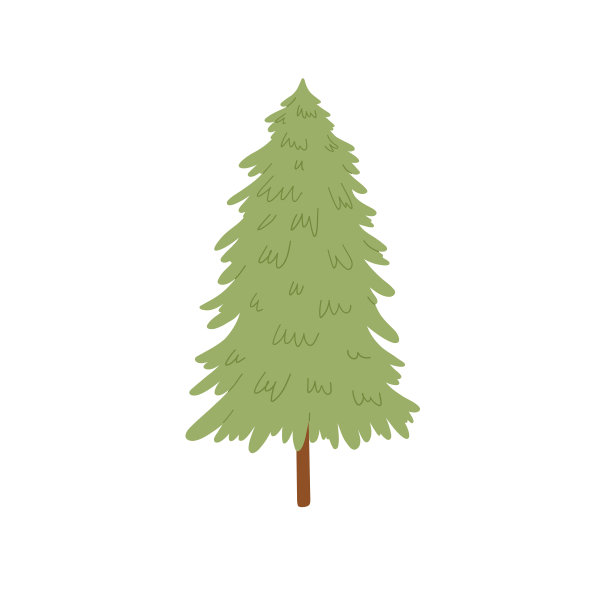 松树。矢量卡通插图孤立的白色背景。图片下载