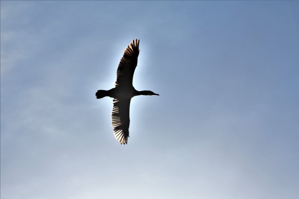 生活的事情图片下载