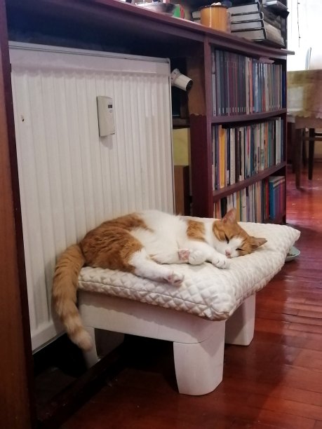 加热器和困倦图片下载