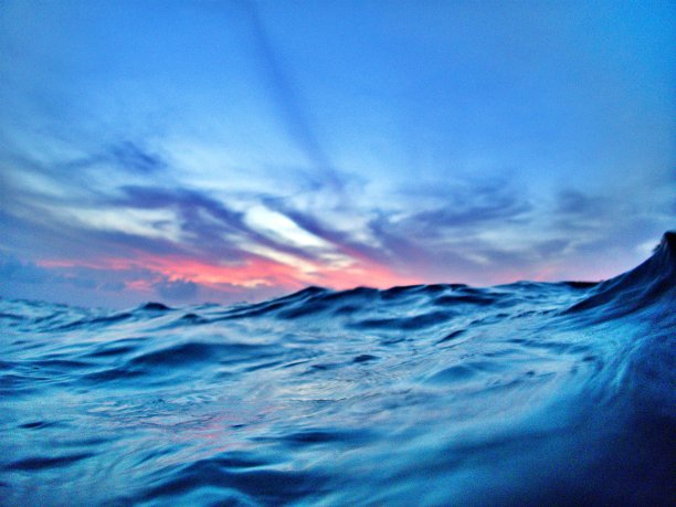 在海平面上游泳图片下载