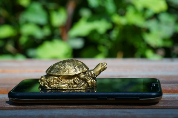 金属龟在手机上的特写镜头。图片下载