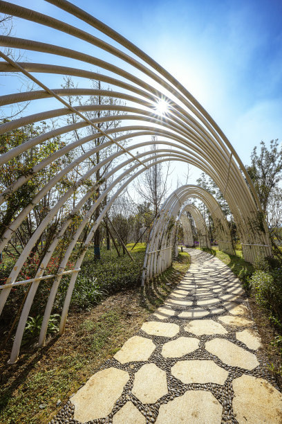 阳光明媚的公园路图片下载