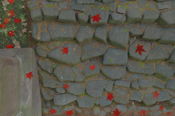 日本枫叶铺在石阶上的三维渲染图片下载