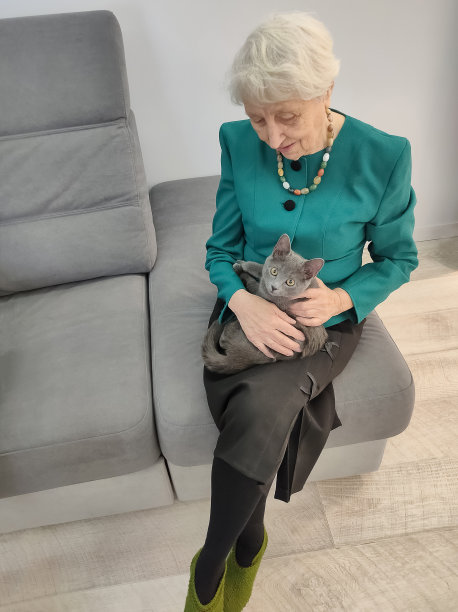 资深女性和宠物猫在家里的椅子上放松图片下载