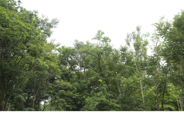 高清晰度视图，图片下载