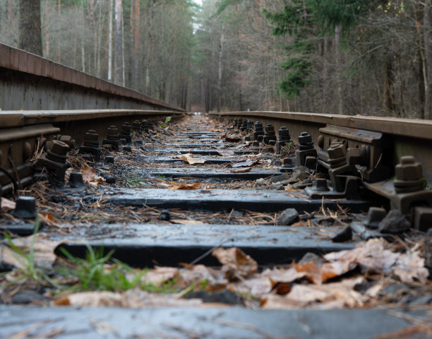 这张照片拍摄的是一条废弃的老木铁路，在树林的背景下点缀着橘黄色和黄色的秋天枫叶。自然与训练理念图片下载