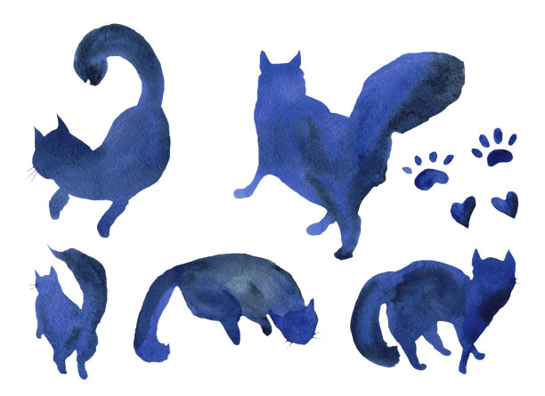 水彩蓝墨水套剪影猫。手绘插图孤立的白色背景。毛茸茸的深色动物摆着不同的姿势。亮猫设计印刷，标志，标签，封面。图片下载
