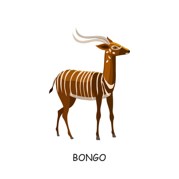 邦戈，非洲有蹄动物。Anteloppa。矢量插图孤立的白色背景。图片下载