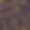 龟壳背景，纹理，时尚图案图片下载