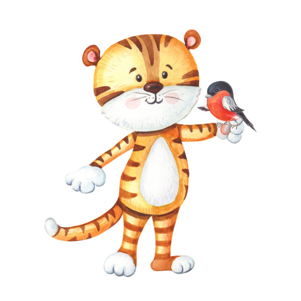 水彩画虎鸟。可爱的条纹动物和红腹灰雀背景。图片下载