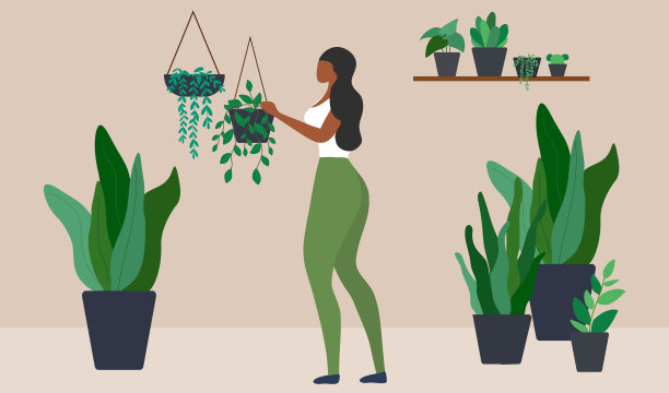 快乐的女人在家给室内植物浇水矢量图。爱好、居家、生活方式、家庭园艺和室内植物概念图片下载