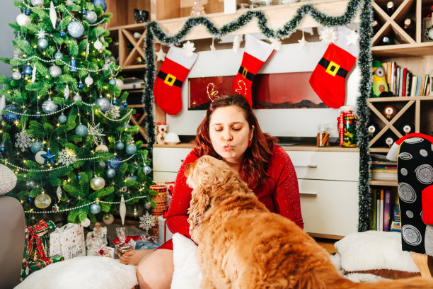 一个穿着红色连衣裙的女孩和一只红色的西班牙猎犬坐在一起，圣诞树的背景是浅色的毯子上放着礼物。贺年卡背景。新年的概念。图片下载