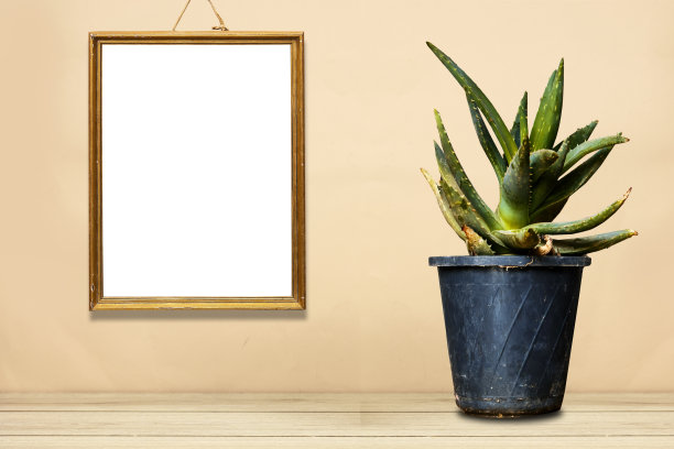 挂空的画框模型在墙上和芦荟植物罐在木板空的桌子-可以用来展示或蒙太奇您的产品图片下载