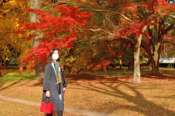 欣赏京都美丽秋叶的日本女人图片下载