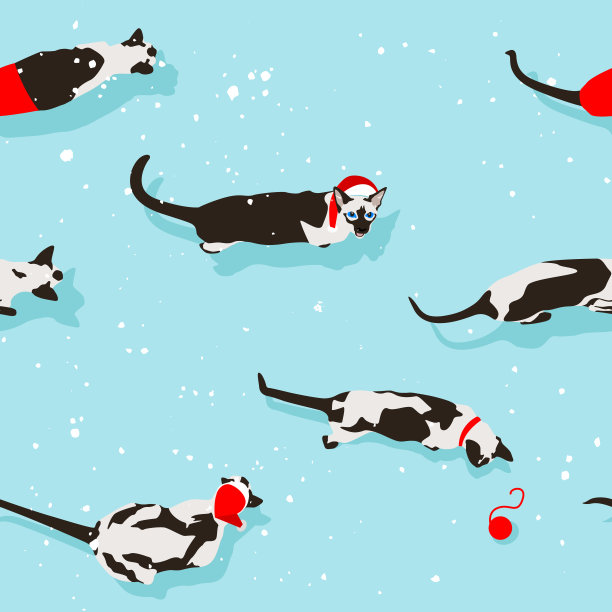 暹罗猫无缝图案在浅蓝色的背景。扁平的风格与雪花图片下载