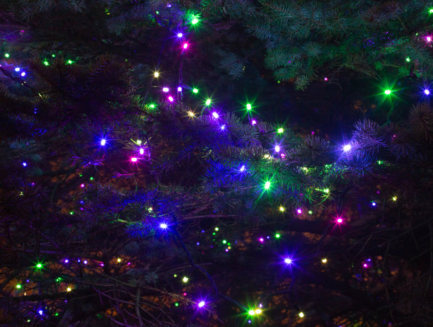 闪亮的蓝绿紫圣诞树花环装饰灯在黑暗的冷杉树前面。一幅背景纹理照片，用于新年寒假装饰图片下载