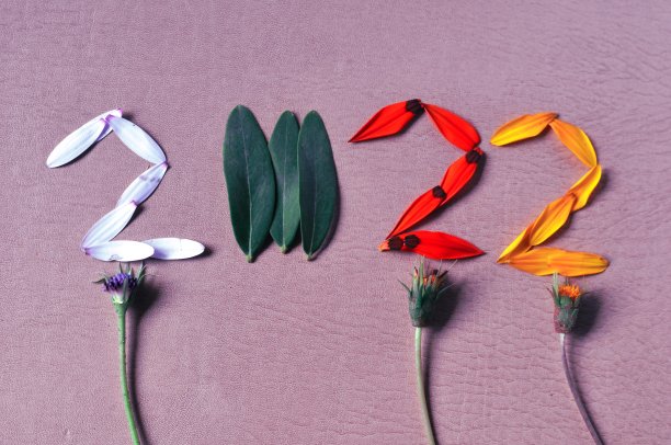 2022号由新鲜植物、鲜花和树叶制成。新年快乐概念。2022年创作背景。图片下载