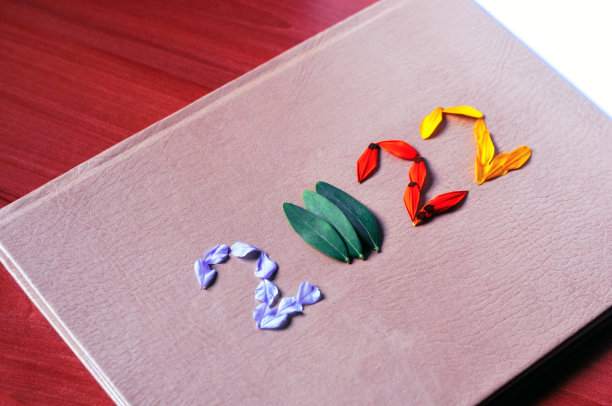 2022号由新鲜植物、鲜花和树叶制成。新年快乐概念。2022年创作背景。图片下载