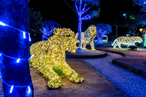 意大利，拉齐奥，盖塔，美丽的圣诞彩灯，童话之光2019。狮子的代表图片下载