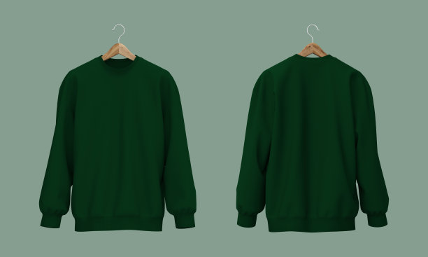 空白运动衫模拟在前视图，3d渲染，3d插图图片下载