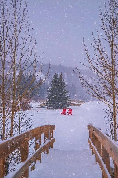 班夫公园的雪桥图片下载