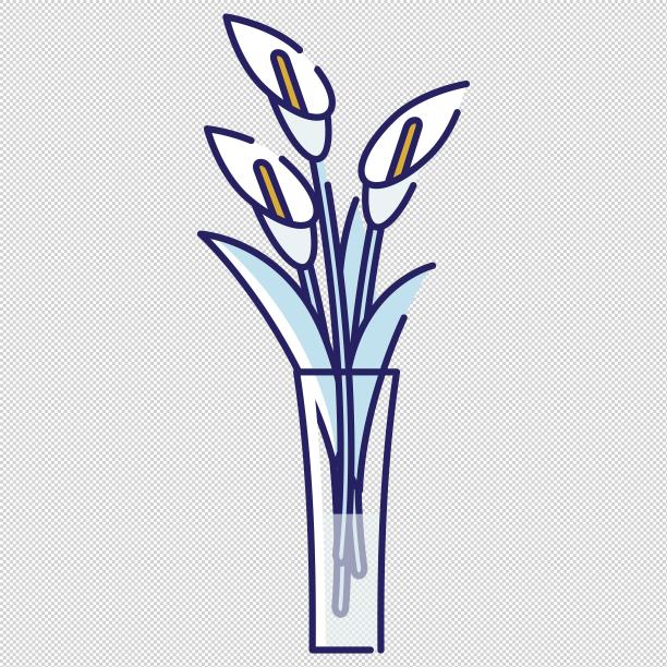 鲜花白掌花瓶图片下载