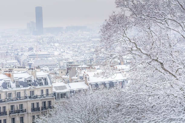 巴黎的雪天图片下载