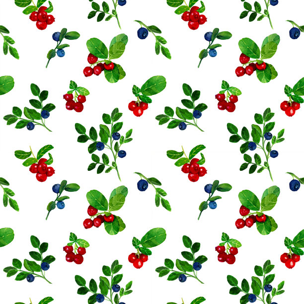 蔓越莓和蓝莓无缝图案在白色背景。图片下载