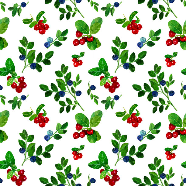 蔓越莓和蓝莓无缝图案在白色背景。图片下载